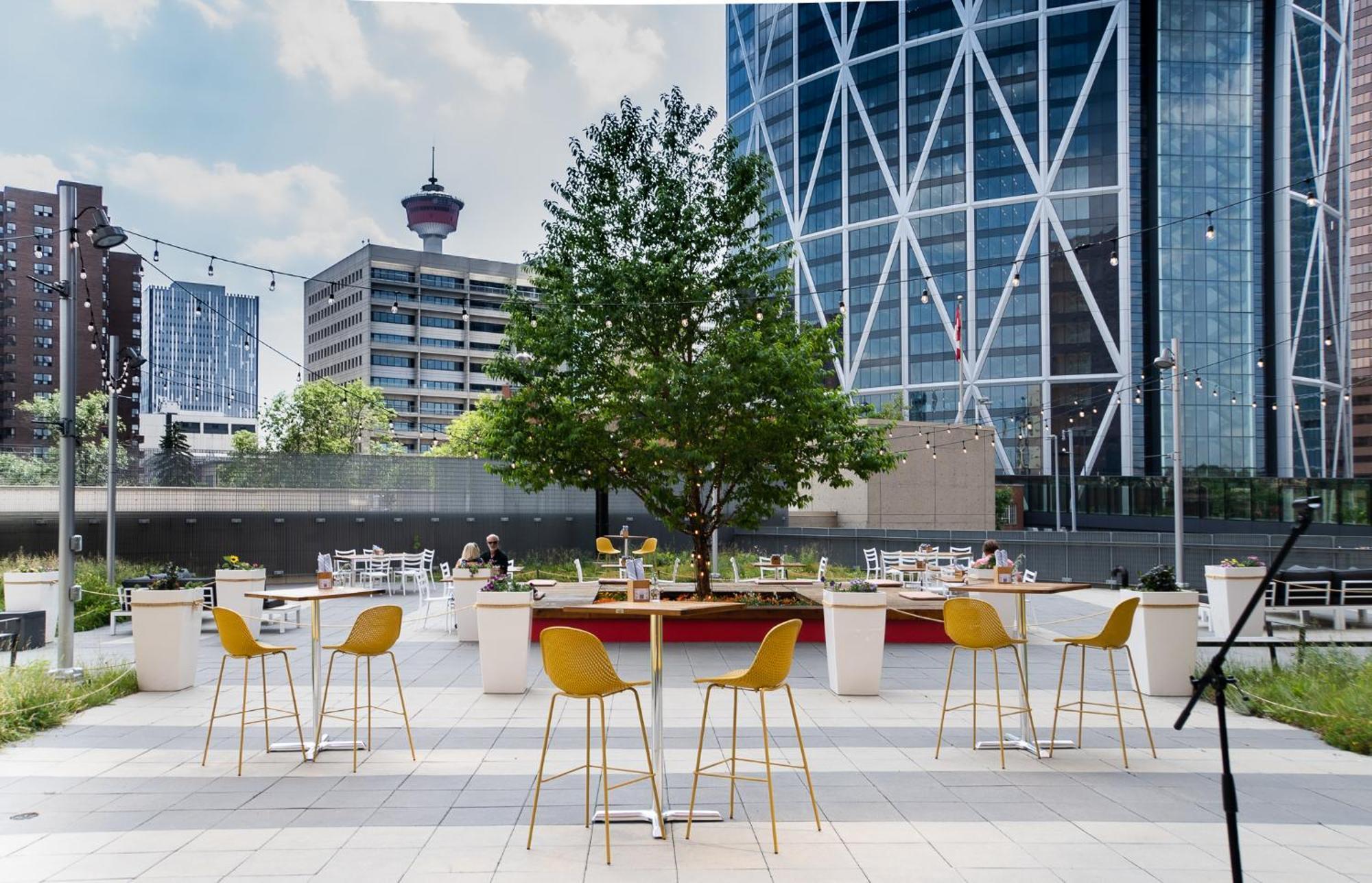 Delta Hotels By Marriott Calgary Downtown Екстериор снимка